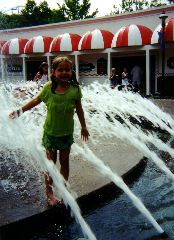 Why didn't all the Selekmans follow Emily into the fountain?