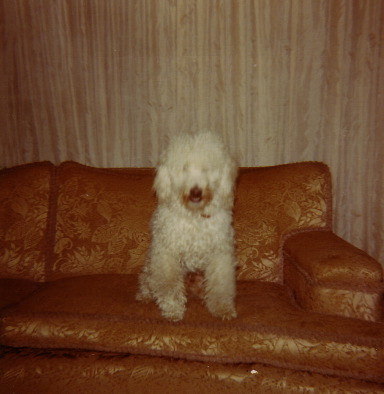 A legend in his own time