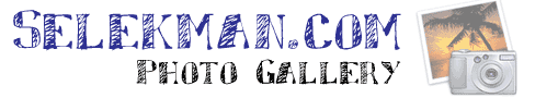 Selekman Photo Gallery